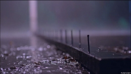 Vanshaj - 31st July 2024